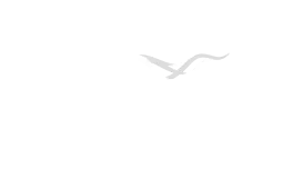 Logo Cateno