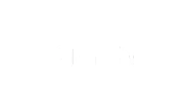 Logo flash