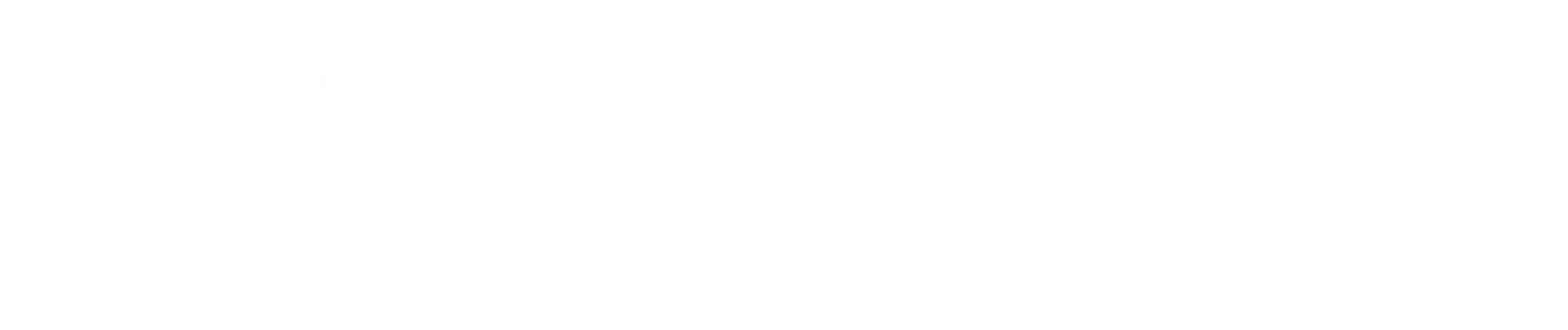 Logo ingramMicro